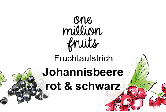 Bild_Johannisbeere-rot-schwarz