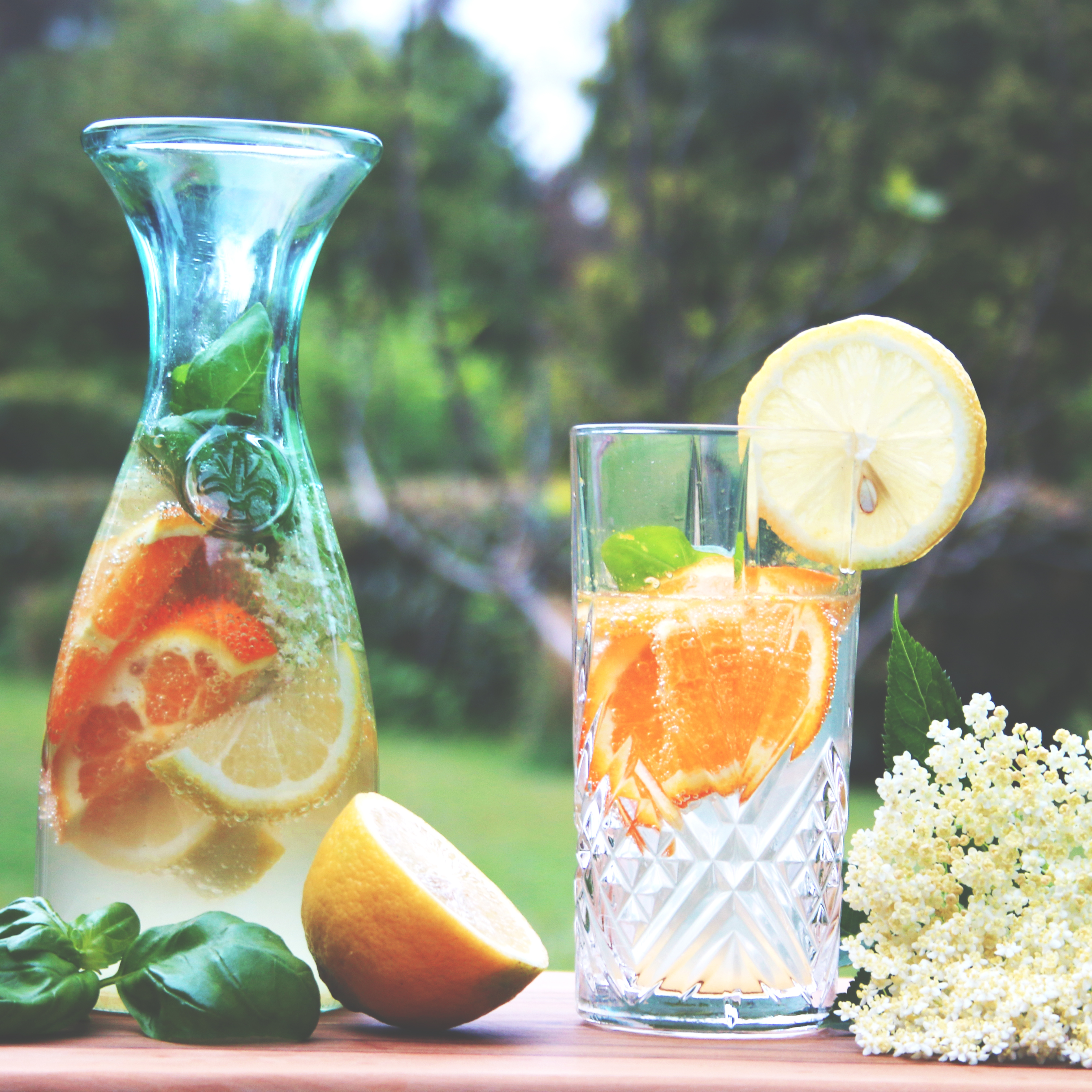 COCKTAIL_HOLUNDERBLUTE-4MORuk9J9d3Xnw