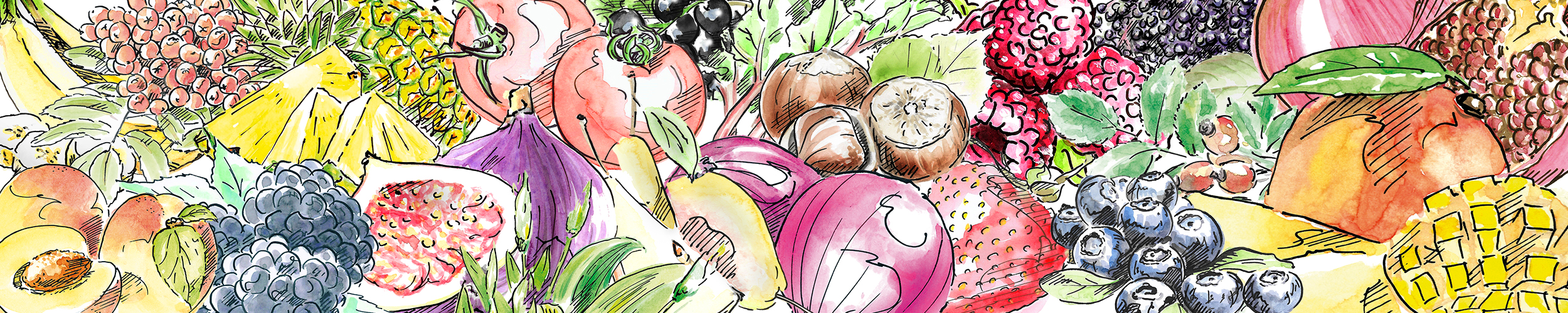 Deckblatt-gezeichnetes-Obst