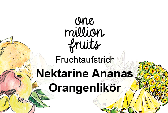 Bild_Nektarine-Ananas-Orangenlik-r