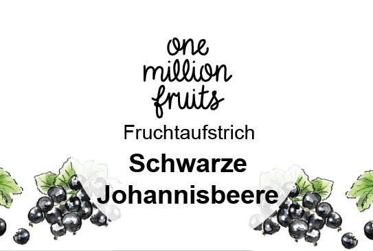 Bild_Johannisbeere-schwarz