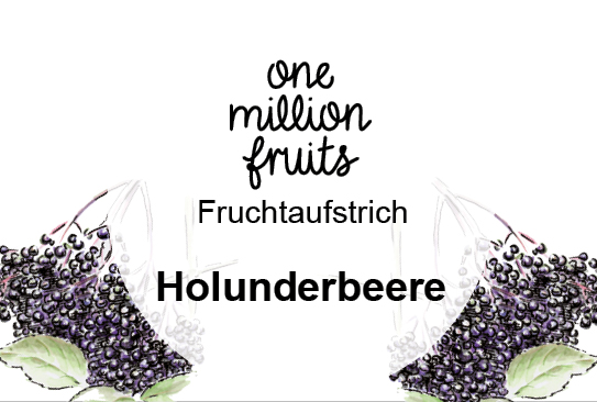 Bild_Holunderbeere