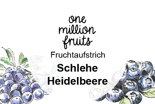 Bild_Schlehe-Heidelbeere