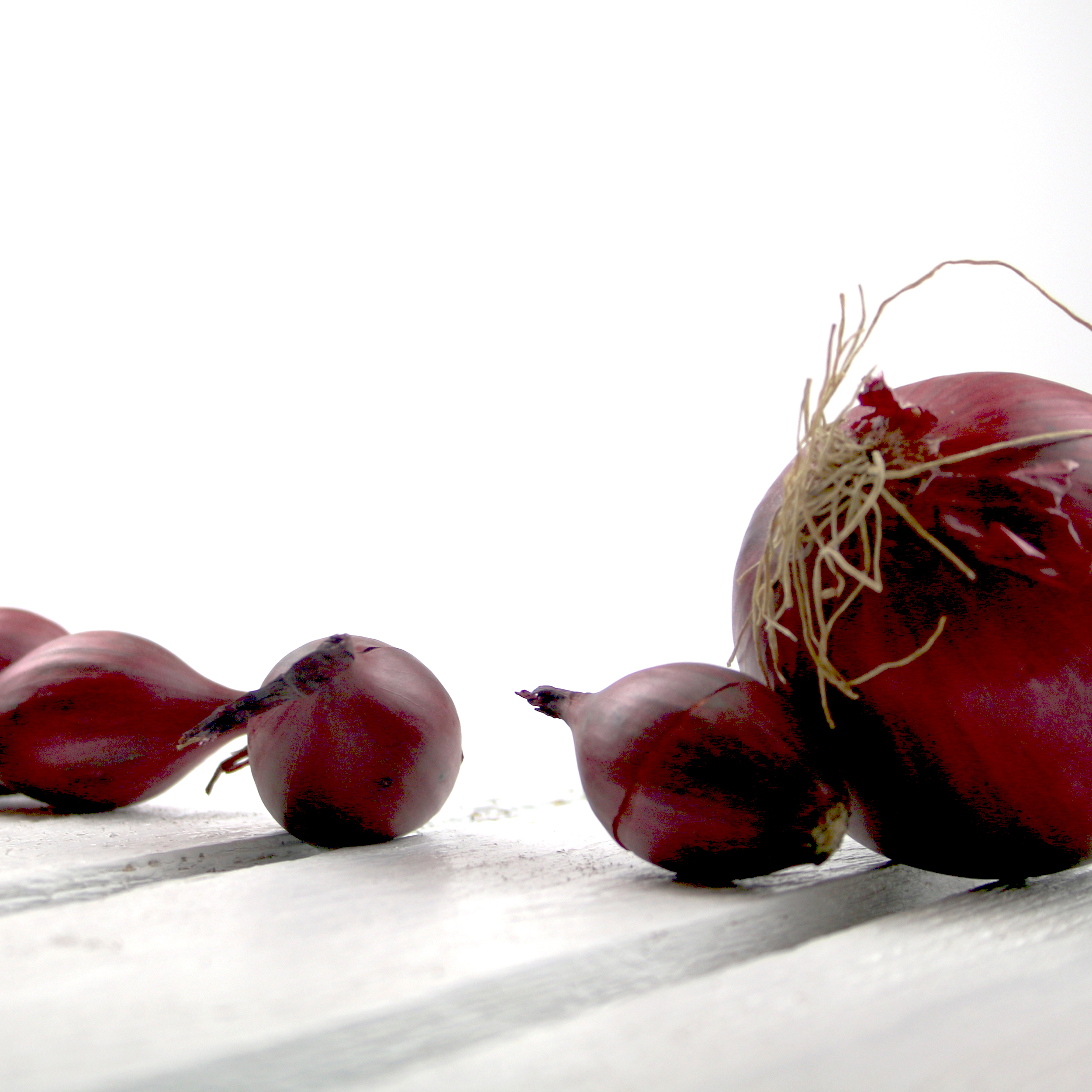 PALETTE_ZWIEBEL-ROT-2
