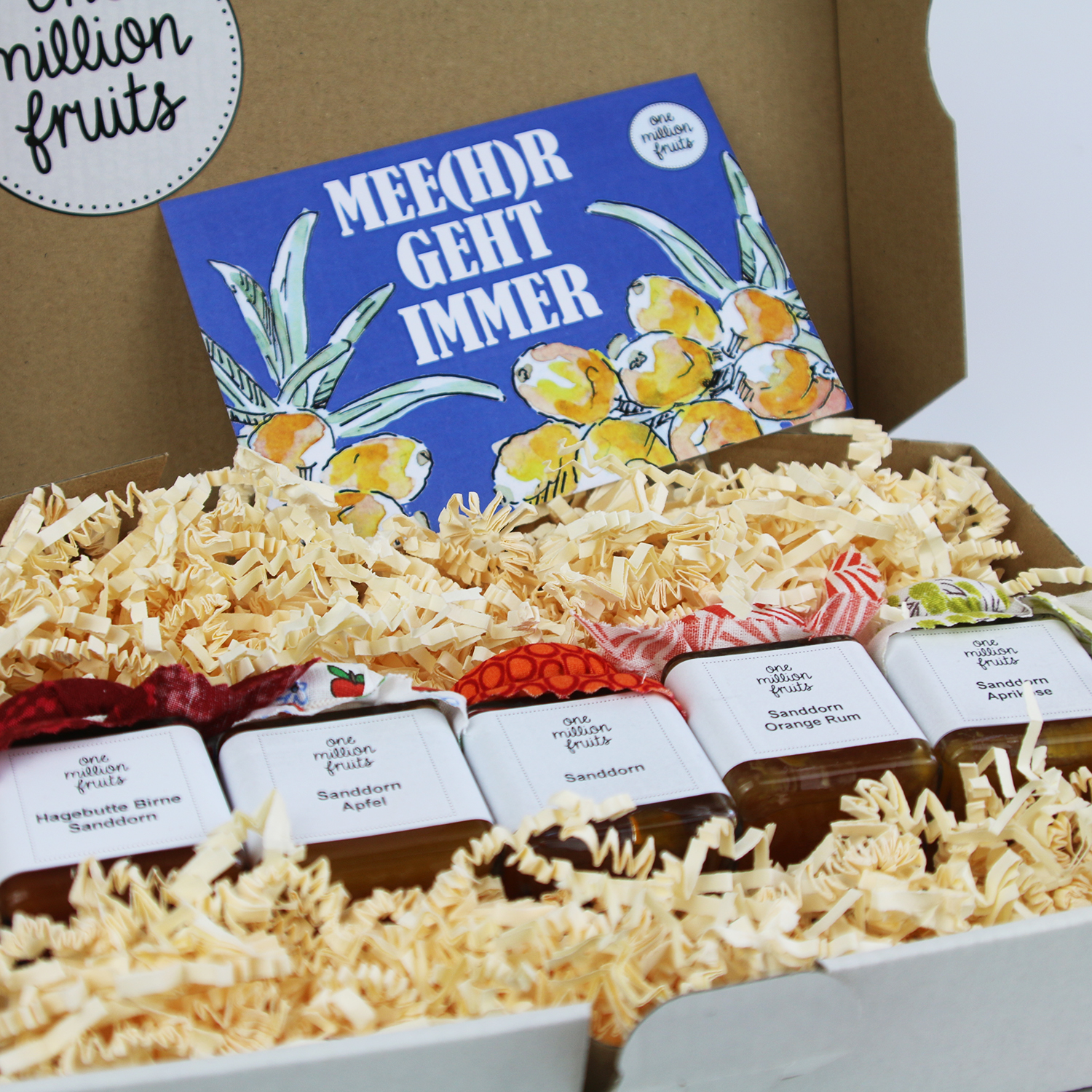 Meegr-geht-immer-Sanddorn-4