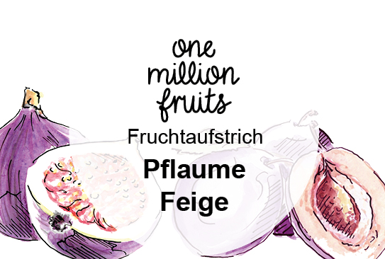 Bild_Pflaume-Feige
