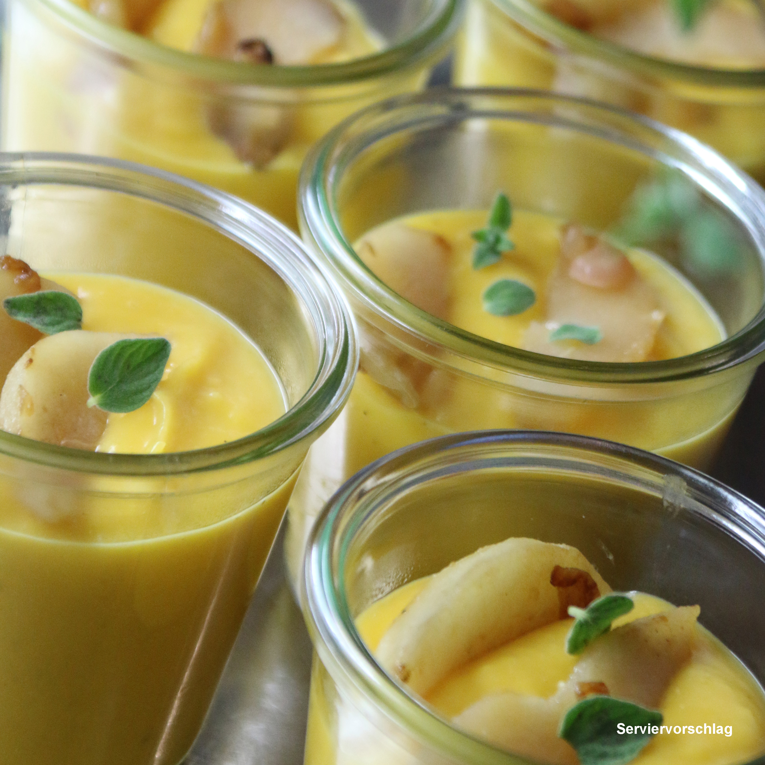 Kurbissuppe-SV