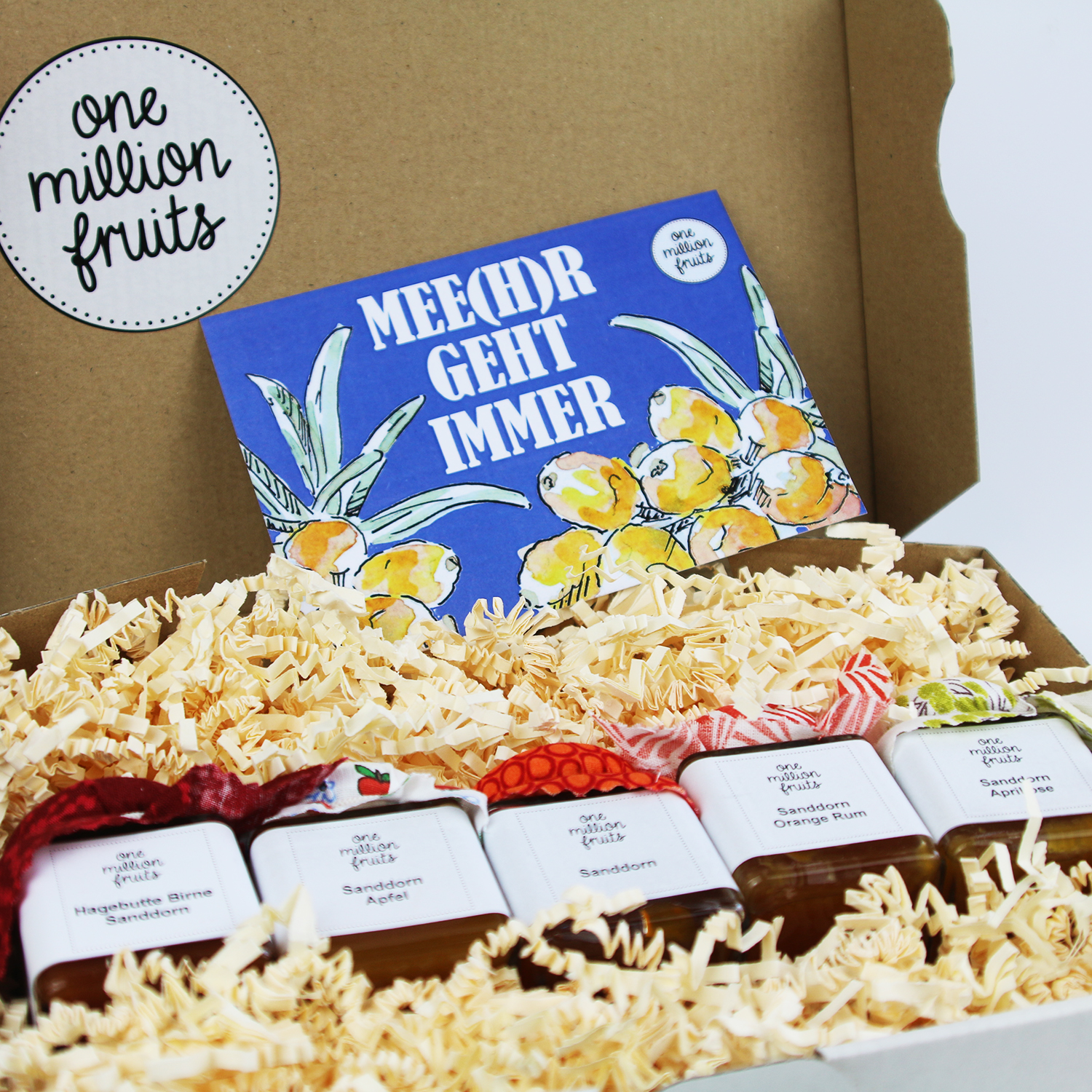 Meegr-geht-immer-Sanddorn-1